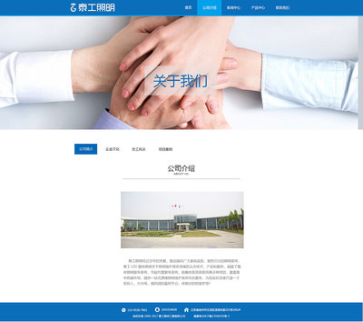 企业站设计|网页|企业官网|WZwin 